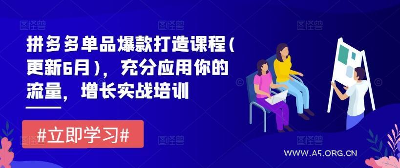 拼多多单品爆款打造课程(更新6月)，充分应用你的流量，增长实战培训-351资源网