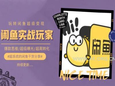 手把手教你0到1系统玩转闲鱼变现，爆款思维/超级曝光/超高转化-351资源网