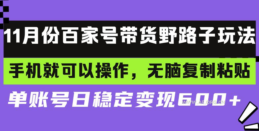 百家号带货野路子玩法 手机就可以操作，无脑复制粘贴 单账号日稳定变现...-351资源网