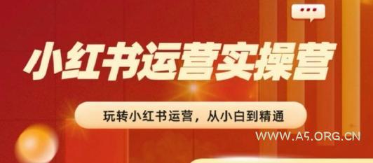 2024小红书运营实操营，​从入门到精通，完成从0~1~100-351资源网