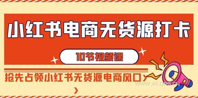 小红书电商无货源打卡，抢先占领小红书无货源电商风口(10节课)-351资源网