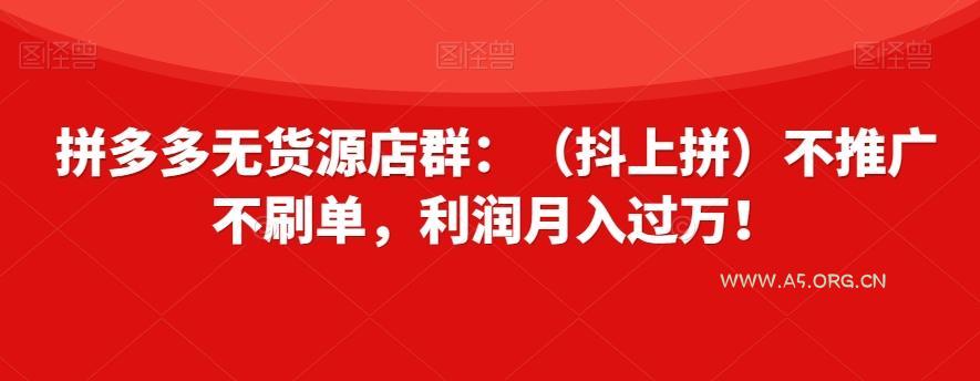 拼多多无货源店群：（抖上拼）不推广不刷单，利润月入过万！【揭秘】-351资源网