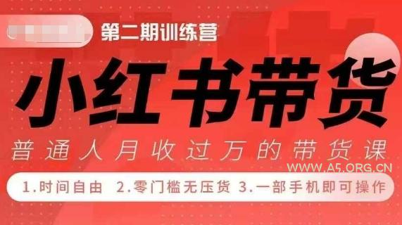 小Red书带货42天训练营 2.0版，宝妈+自由职+上班族+大学生，提高副业收入的大红利项目-351资源网