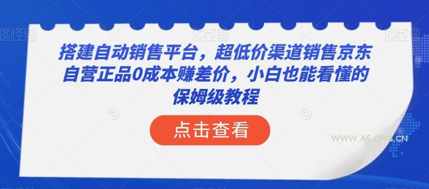 搭建自动销售平台，超低价渠道销售京东自营正品0成本赚差价，小白也能看懂的保姆级教程【揭秘】-351资源网