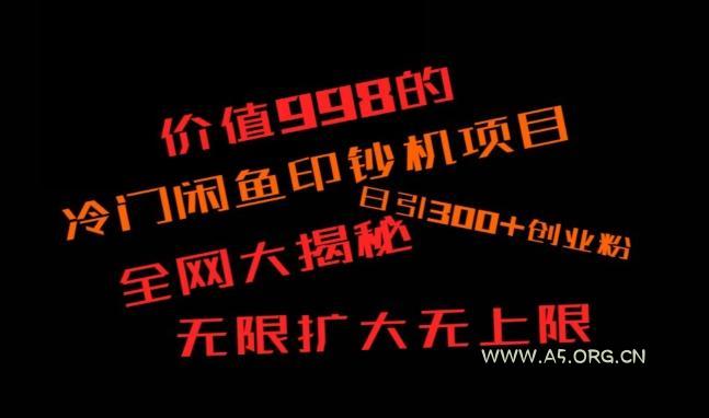 闲鱼流量印钞机项目大揭秘，日引300+创业粉，保姆级实操教程-351资源网