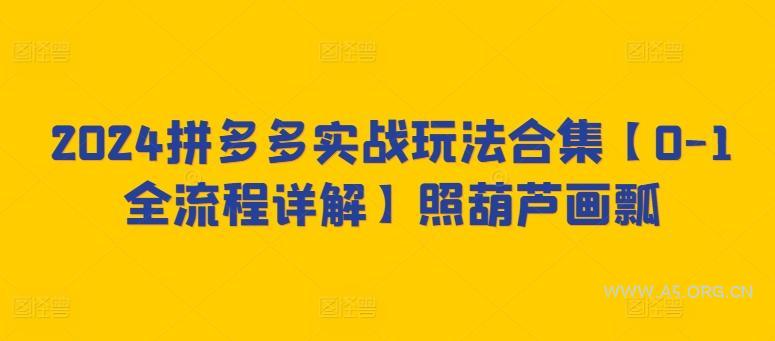 2024拼多多实战玩法合集【0-1全流程详解】照葫芦画瓢-351资源网