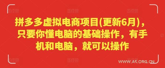 拼多多虚拟电商项目(更新6月)，只要你懂电脑的基础操作，有手机和电脑，就可以操作-351资源网