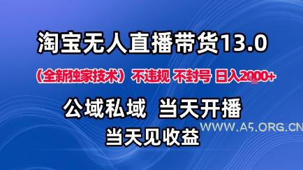 淘宝无人直播13.0，公域私域技术，不封号，不违规布局下半年旺季赛道，日入1K+(独家技术)【揭秘】-351资源网