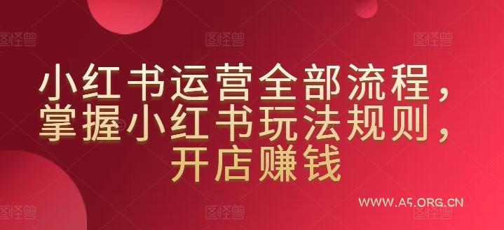 小红书运营全部流程，掌握小红书玩法规则，开店赚钱-351资源网