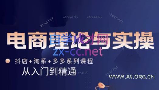 磊子·电商理论与实操(抖店+淘系+拼多多)-351资源网