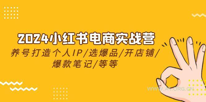 2024小红书电商实战营，养号打造IP/选爆品/开店铺/爆款笔记/等等(24节)-351资源网