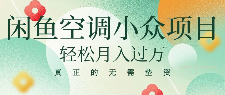 闲鱼卖空调小众项目 轻松月入过万 真正的无需垫资金-351资源网