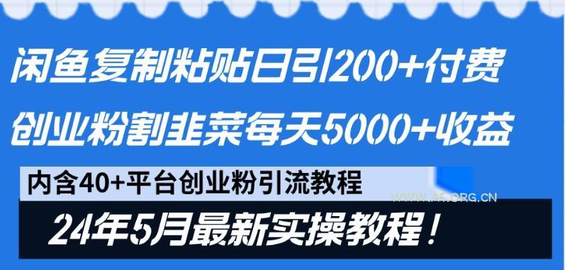 闲鱼复制粘贴日引200+付费创业粉，24年5月最新方法！割韭菜日稳定5000+收益-351资源网