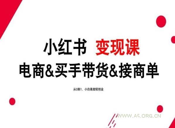 2024年最新小红书变现课，电商&买手带货&接商单，从0到1，小白高效轻创业-351资源网
