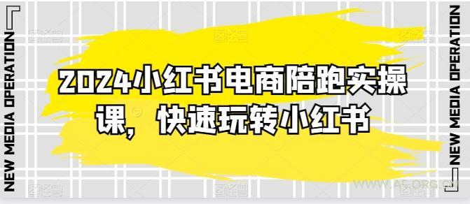 2024小红书电商陪跑实操课，快速玩转小红书，超过20节精细化课程-351资源网