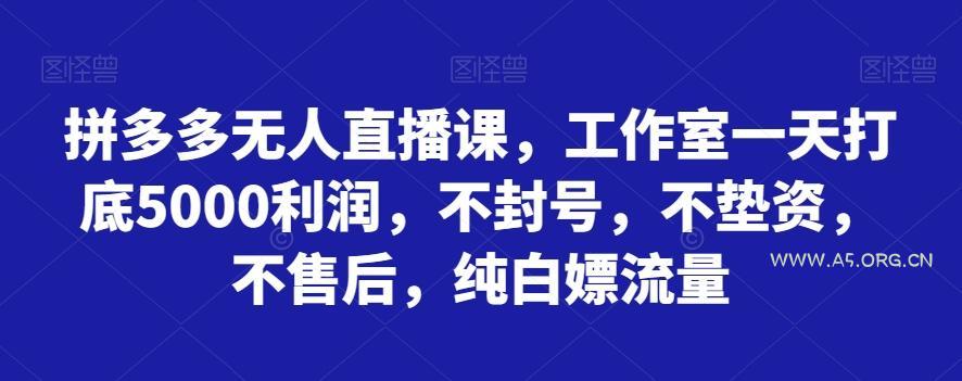 拼多多无人直播课，工作室一天打底5000利润，不封号，不垫资，不售后，纯白嫖流量-351资源网